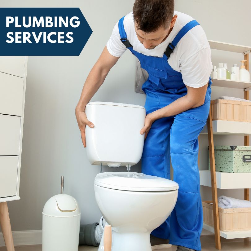 Plumbing Company in Congerville, IL